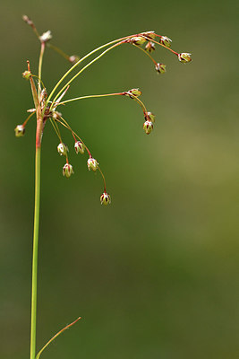 BUITEN BEELD Foto: 297698