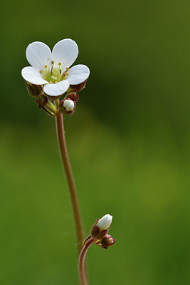 BUITEN BEELD Foto: 297713