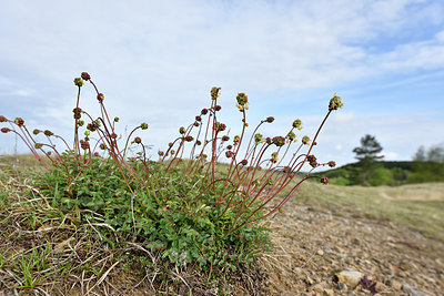 BUITEN BEELD Foto: 297725