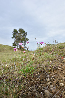 BUITEN BEELD Foto: 297726