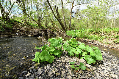 BUITEN BEELD Foto: 297735