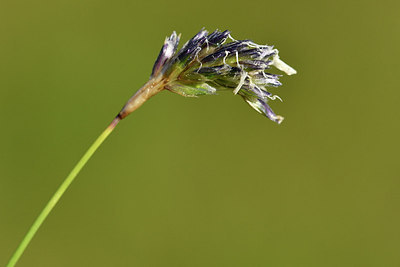 BUITEN BEELD Foto: 297742