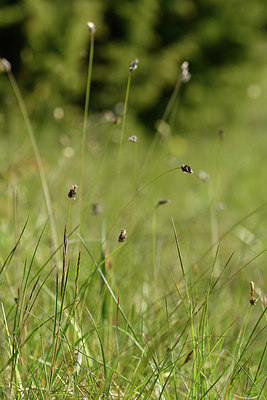 BUITEN BEELD Foto: 297745