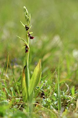 BUITEN BEELD Foto: 297761