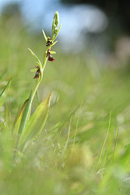 BUITEN BEELD Foto: 297762