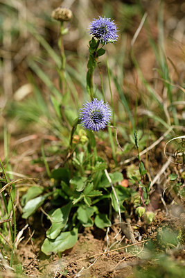 BUITEN BEELD Foto: 297768