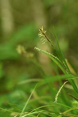 BUITEN BEELD Foto: 297775