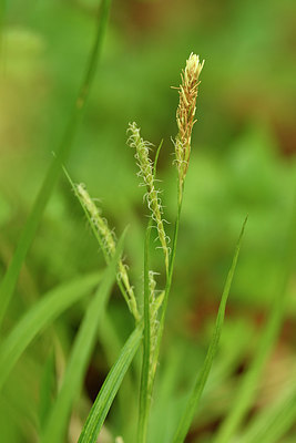 BUITEN BEELD Foto: 297777