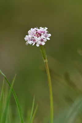 BUITEN BEELD Foto: 297784