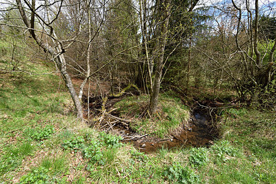 BUITEN BEELD Foto: 297794