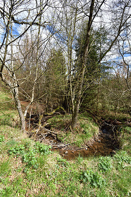 BUITEN BEELD Foto: 297795
