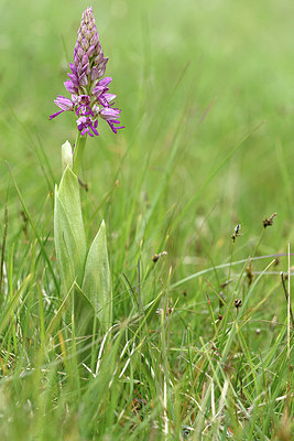 BUITEN BEELD Foto: 297798