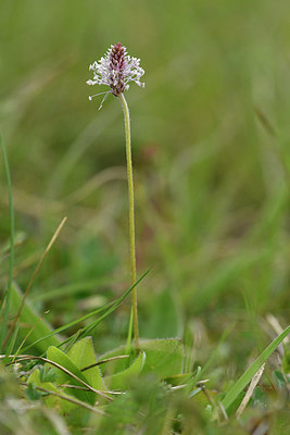 BUITEN BEELD Foto: 297804