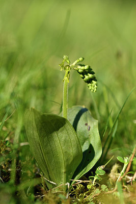 BUITEN BEELD Foto: 297823