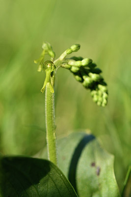 BUITEN BEELD Foto: 297824