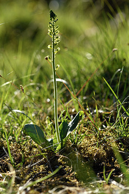 BUITEN BEELD Foto: 297827