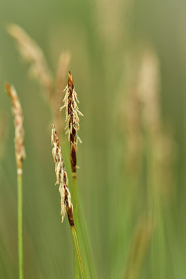 BUITEN BEELD Foto: 297843