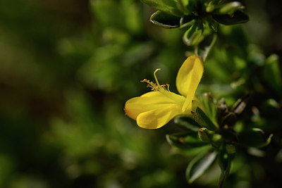 BUITEN BEELD Foto: 297857