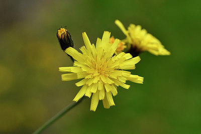 BUITEN BEELD Foto: 297921