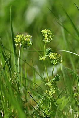 BUITEN BEELD Foto: 297941