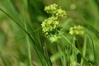 BUITEN BEELD Foto: 297942