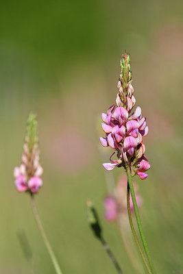 BUITEN BEELD Foto: 297976