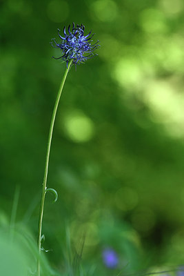 BUITEN BEELD Foto: 297983