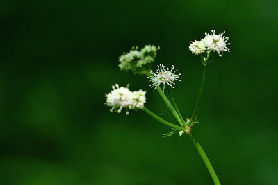 BUITEN BEELD Foto: 297987