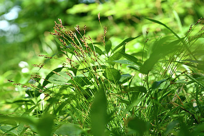 BUITEN BEELD Foto: 297990