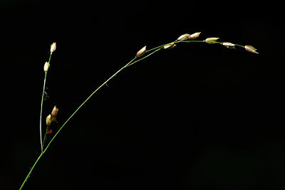 BUITEN BEELD Foto: 297992