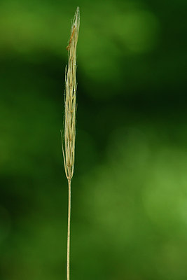 BUITEN BEELD Foto: 297993