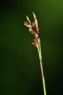 BUITEN BEELD Foto: 297995