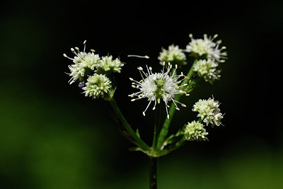 BUITEN BEELD Foto: 297997