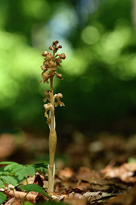 BUITEN BEELD Foto: 298001