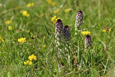 BUITEN BEELD Foto: 298004