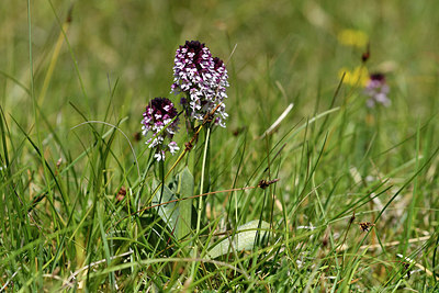 BUITEN BEELD Foto: 298006