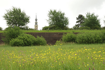 BUITEN BEELD Foto: 298026
