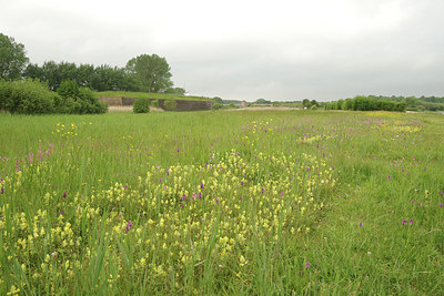 BUITEN BEELD Foto: 298027
