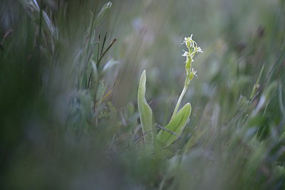 BUITEN BEELD Foto: 298053