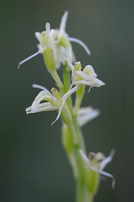 BUITEN BEELD Foto: 298054