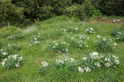BUITEN BEELD Foto: 298063