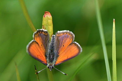 BUITEN BEELD Foto: 298098