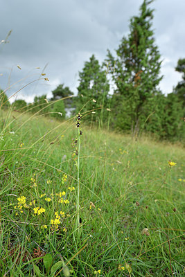 BUITEN BEELD Foto: 298101