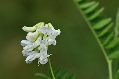 BUITEN BEELD Foto: 298173
