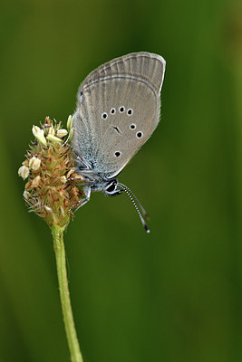 BUITEN BEELD Foto: 298176