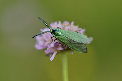 BUITEN BEELD Foto: 298194