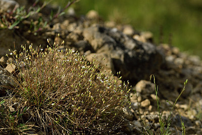 BUITEN BEELD Foto: 298195