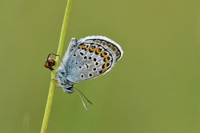 BUITEN BEELD Foto: 298201