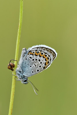 BUITEN BEELD Foto: 298205