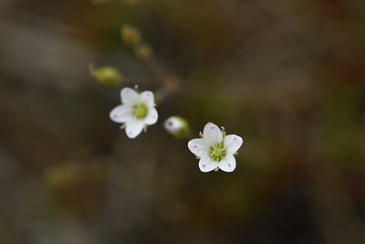 BUITEN BEELD Foto: 298206